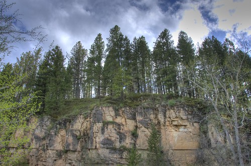 trees cliff forest nikon montana monarch hdr d90