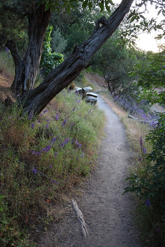 california usa photo lenstagged dusk trail 1600squirrels centralcalifornia 2x3 pinnaclesnationalmonument sanbenitocounty gabilanmountains canon24105f4 5dii