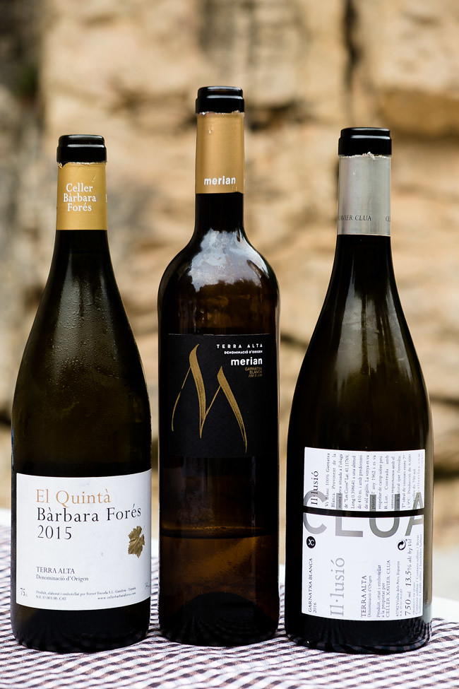 Catalonia Wine Tour