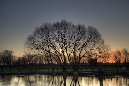 trees sunrise river bedfordshire ouse hdr photomatix greatbarford
