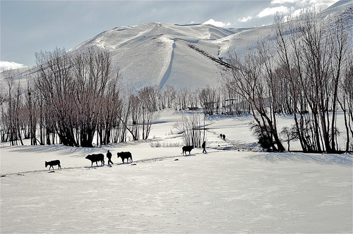 阿富汗山區Khost省多雪。（來源：Afghanistan Matters）