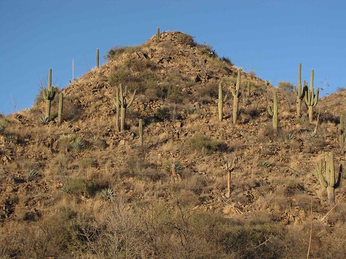 arizona usa mountains cacti landscapes desert unitedstatesofamerica gps 2009