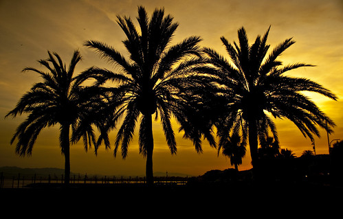 trees sunset sol beach sunrise palms luces noche spain sand arboles dusk playa palmeras arena nubes malaga tarde