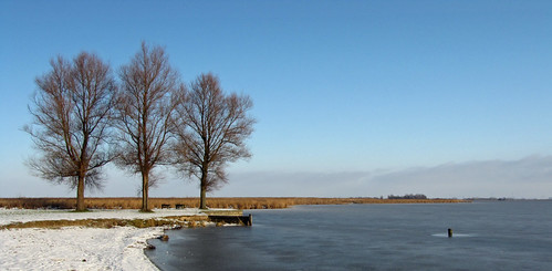 trees lake snow holland ice netherlands frozen bomen meer bevroren sneeuw nederland polder ijs uitgeest uitgeestermeer veenweidegebied dorregeest alkmaarderenuitgeestermeer