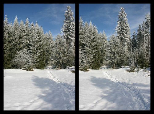 schnee snow deutschland stereophotography 3d crosseyed sneeuw stereo schwarzwald duitsland stereofotografie neustadt zwartewoud titiseeneustadt hochfirst