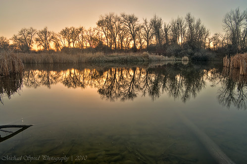 trees reflections photography montana hdr highdynamicrange billings riverfrontpark smcpentaxda1645mmf4edal montanalandscape pentaxk20d michaelspeed photographingmontana realistichdrimage hangingwithceebs