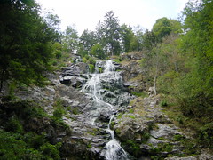 2003-08-16 08-22 Schwarzwald 063 Triberger Wasserfall