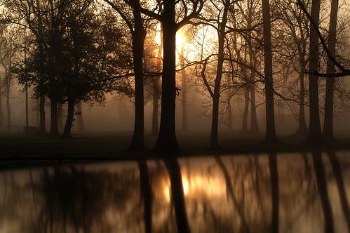 morning reflection fog sunrise day