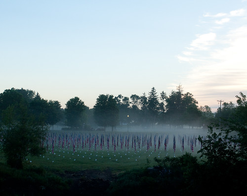 park field fog memorial flag mn zumbrota