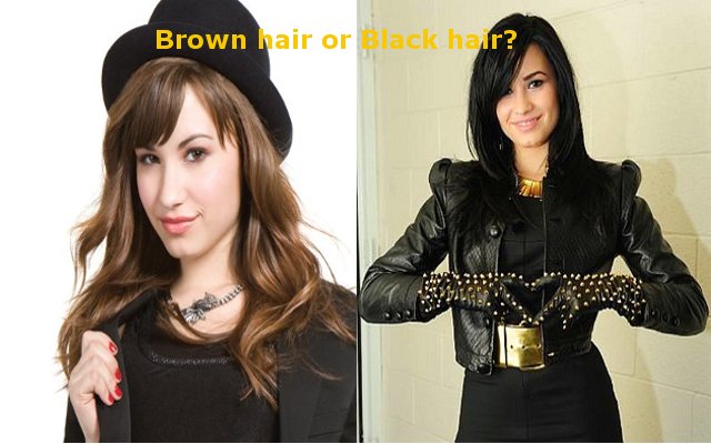Brown hair vs. Black hair/Demi Lovato | Flickr - Photo Sharing!