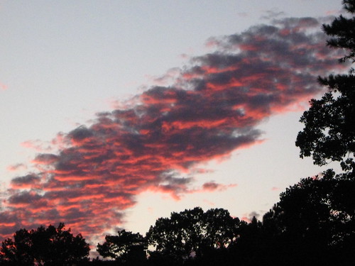 pink sunset clouds arkansas cloudporn nowthatssky