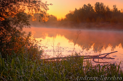 autumn sky mist tree water sunrise river weed branch sweden hdr arboga