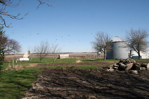 field birds farm