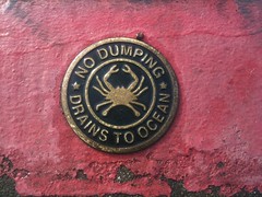 'No dumping. Drains to ocean' stud inserted into the pavement next to a drain