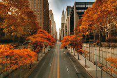 Fall in New York City