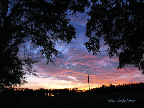 florida sunsets cottondale