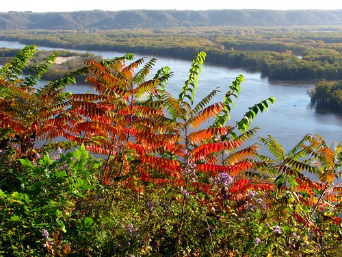 autumn fall river mississippi landscape october lansing iowa lansingiowa lansingia mthosmercitypark