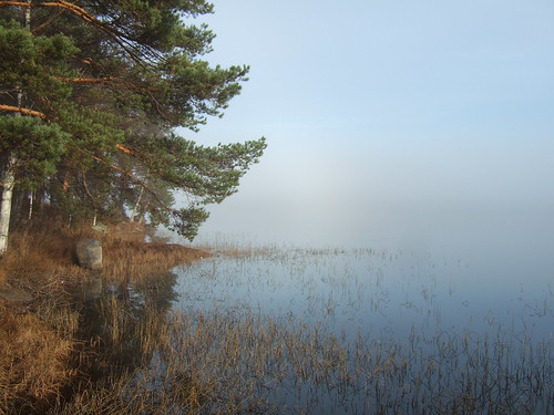 mist lake fog finland keuruu isokirja pohjoisjärvi