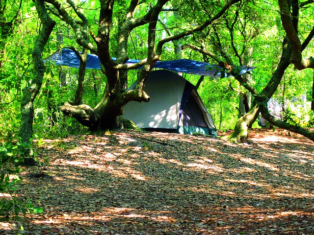 The cooler spring and fall months are a great time to tent camp.  No bugs and not too hot!