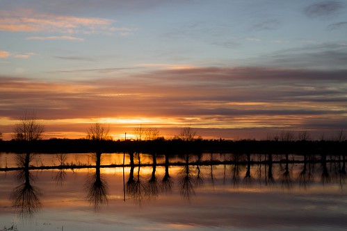 sunset france canon landscape europe jour marsh normandie paysage marais normandy manche coucherdesoleil extérieur