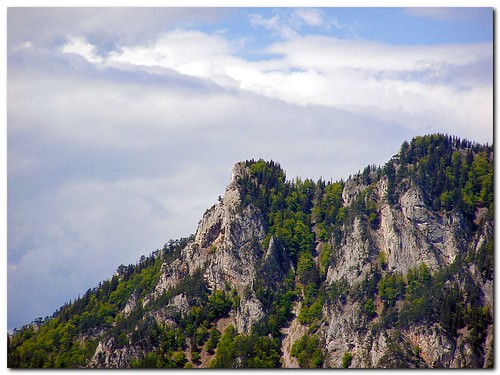 trees sky mountain green kreuzberg austria rocks europe gray foothill loweraustria beautifulphoto