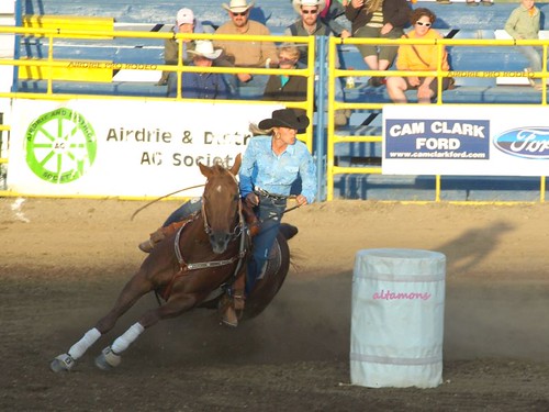 horses horse canada action canadian alberta rodeo airdrie altamons