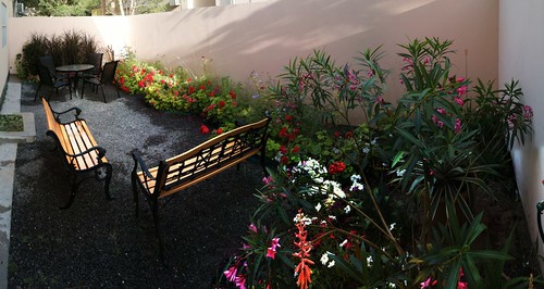 flowers bahrain relaxing stitched iphone panora officegarden gulfbroadcast abusayba