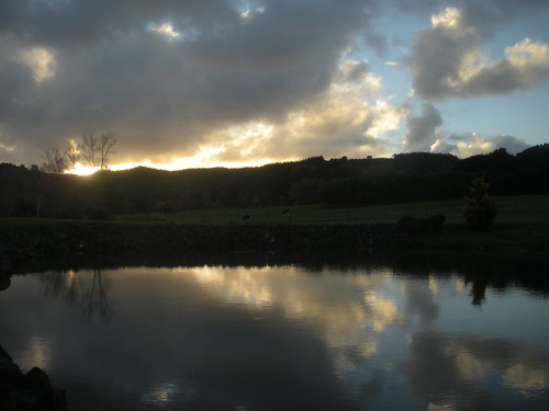 sunset newzealand reflection clouds winetasting wineries westbrook