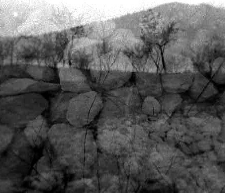 trees mountains spain andalucia losgasquez