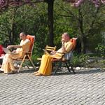 20100420 Swamis in the garden