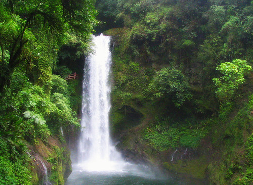 lapazwaterfall waterfalls costarican lapaz rainforest forests rainforests cr puravida nature waterfall cascada bäume árvores pokok costarica trees arboles sandraleidholdt