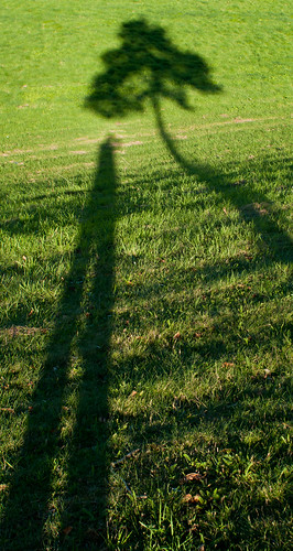 autumn shadow sun holland tree art nature dutch grass nijmegen sony boom gelderland selfportret a300 estremità saariysqualitypictures mygearandmepremium mygearandmebronze mygearandmesilver ilobsterit