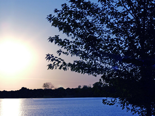 blue sunset lake tree water silhouette horizon