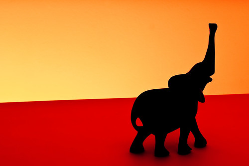 africa sunset shadow red elephant black oneaday silhouette 50mm iso100 amber african sony flash dumbo trumpet photoaday 365 f8 gels ebony pictureaday bouncedflash 1160th offcameraflash project365 thecallofthewild adobelightroom strobist strobism project3651 82365 minoltaamount cactusv4 sonyalpha350 yn460ii 3652010 project36612010 230310 lightmodifying project365230310