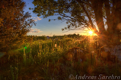 trees sunset sky cloud sun house green sol grass leaves stone branch forrest andromeda flare hdr sunray moln gräs