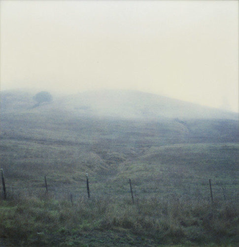 mist film grass polaroid hill marincounty slr680 westmarin 779