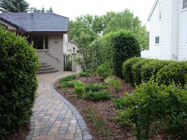 Landscaping Pictures