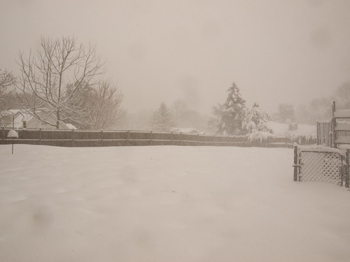 winter snow delaware february blizzard midatlanticblizzard