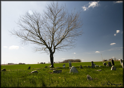 county tree cemetery kentucky headstones logan russelville