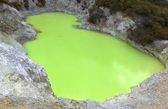 Pea Green Pool