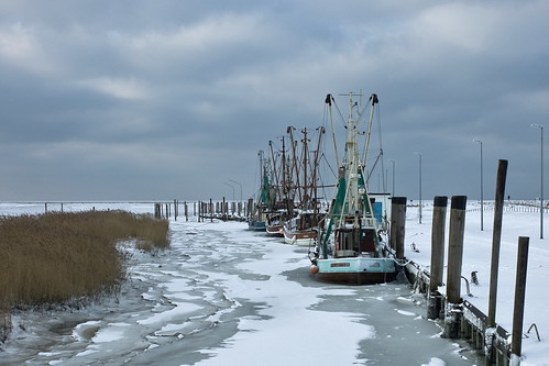 winter germany northsea fishingboat nordsee m9 niedersachsen krabbenkutter spieka spiekaneufeld