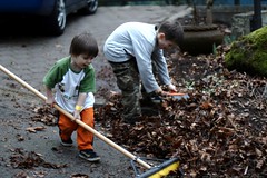 brothers sweeping up leaves 