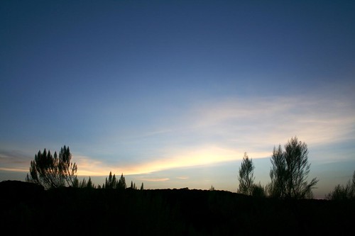 sunset sky silhouette texas westtexas