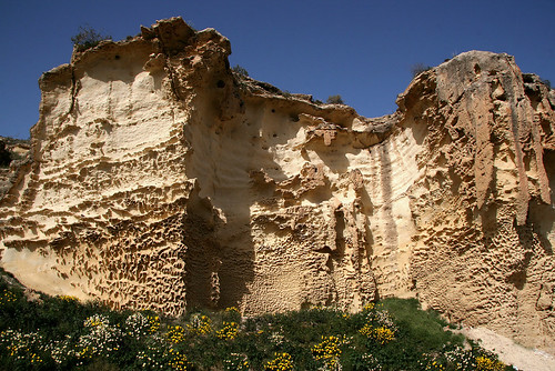 españa flower landscape spain paisaje romano espagne cartagena canteras erosión romanas marathoniano canterasromanas