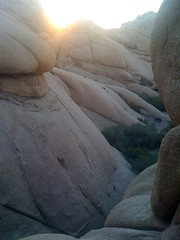 Sunset at Jumbo Rocks, Joshua Tree National Park. I have very few words.