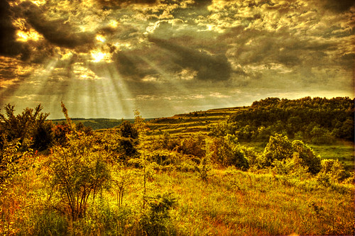 wood blue light sunset shadow red sky favorite orange cloud brown sun white mountain black color colour tree green texture nature beautiful beauty grass yellow digital forest photoshop canon dark landscape photography eos gold photo leaf high nice interesting pretty ray view dynamic image branches hill vivid beam romania land 20mm fav 1785mm range bushes hdr highdynamicrange comment faved peisaj 40d dolj canoneos40d bulzesti dragondaggerphoto dragondaggeraward magicunicornverybest magicunicornmasterpiece valeatiganului