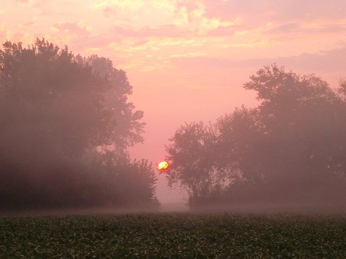 fog sunrise foggy