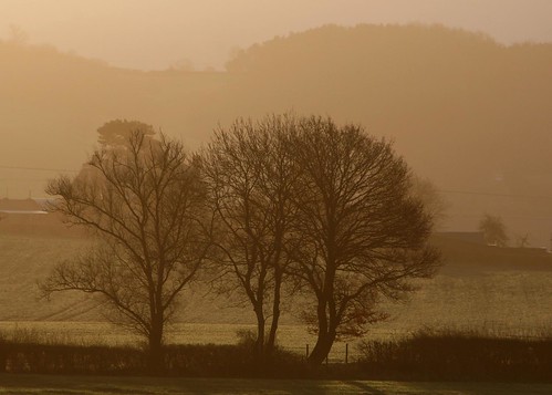 morning trees mist castle field sunrise april herefordshire frome