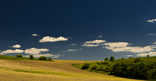 blue summer wallpaper sky tree green yellow clouds landscape spring nikon wide mywinners d5000