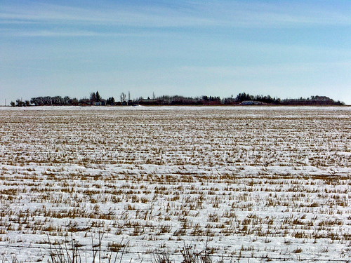 blue white snow canada color colour farm sk prairie saskatchewan agriculture 2010 greatbend canadagood thisdecade